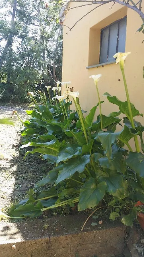 Azienda Agricola e Agrituristica Cerreta Collemezzano 0*,