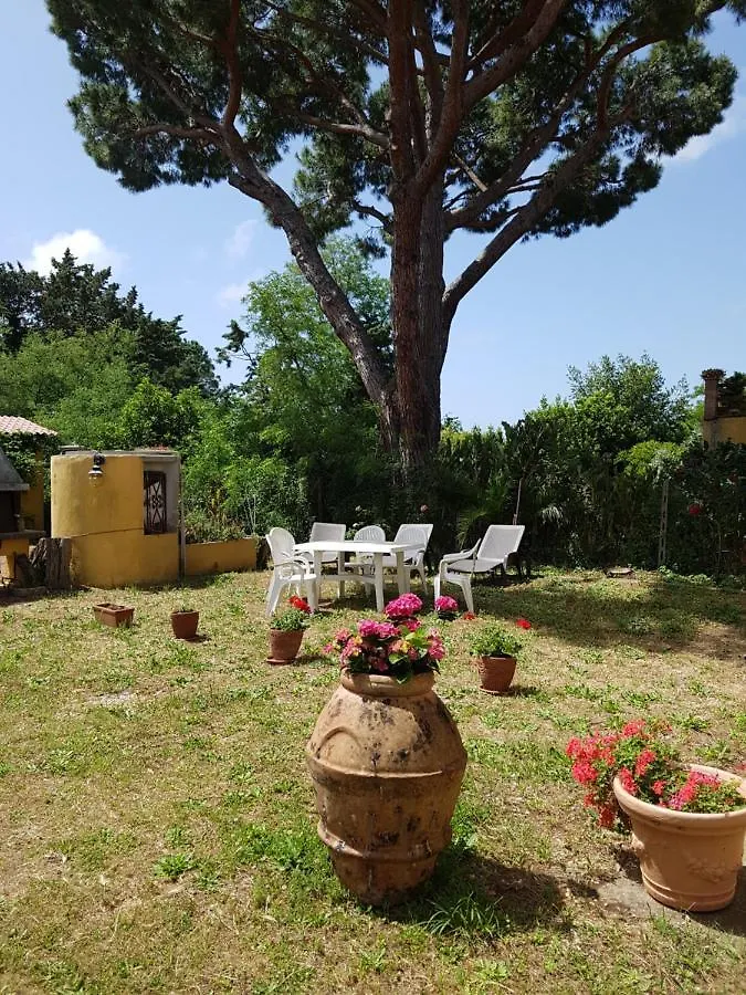 Azienda Agricola e Agrituristica Cerreta Collemezzano