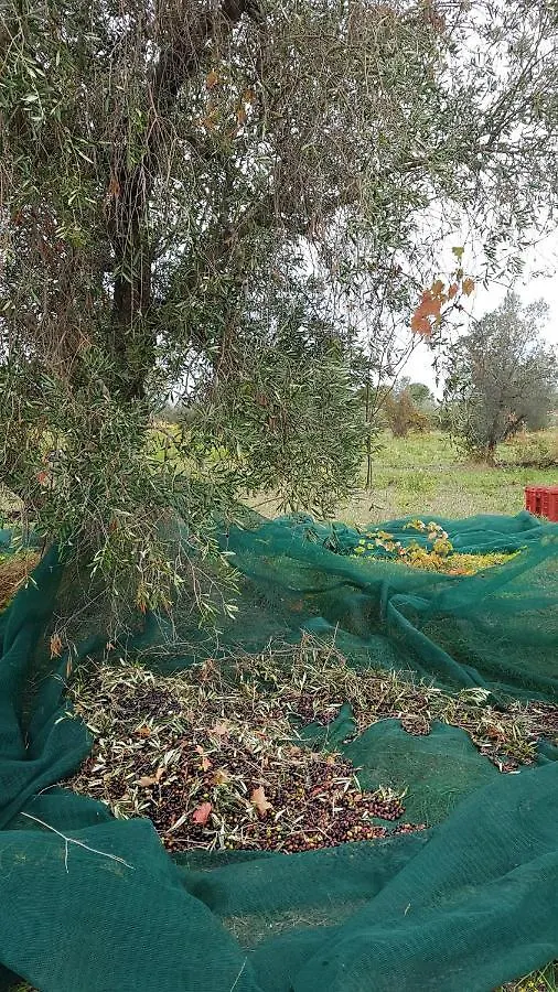 Azienda Agricola e Agrituristica Cerreta Collemezzano Villa