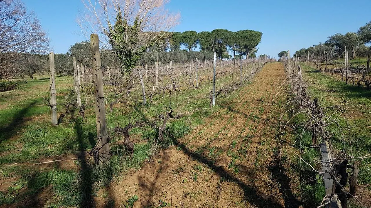 Villa Azienda Agricola e Agrituristica Cerreta Collemezzano Italia